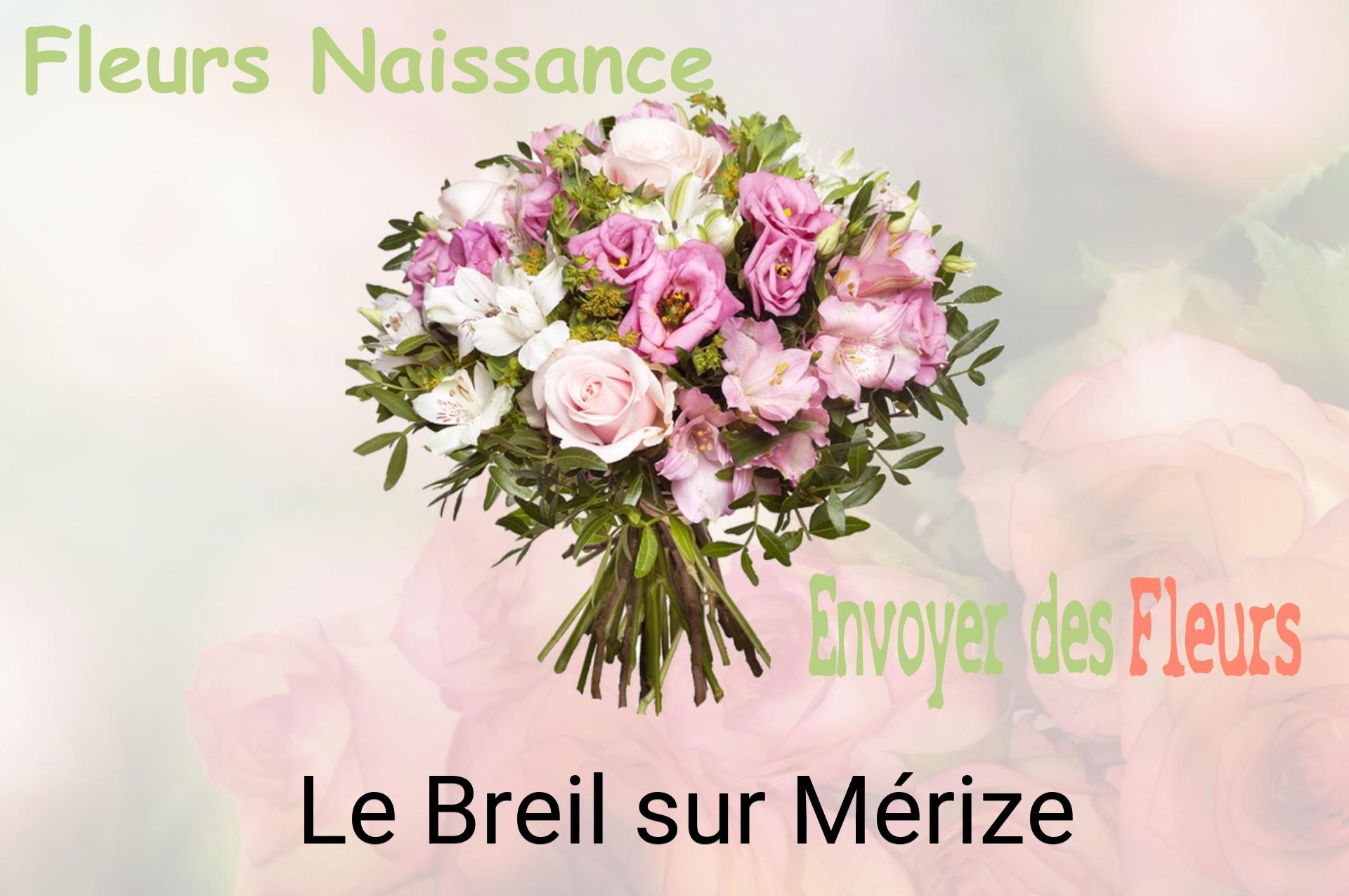 Bouquet de fleurs de naissance livré à Le Breil-sur-Mérize