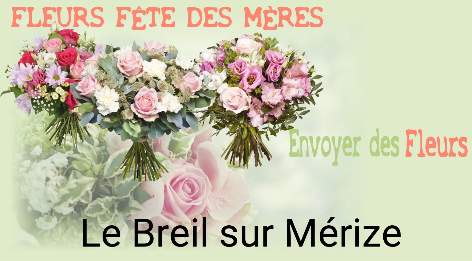 Bouquet de Fête des Mères livré à Le Breil-sur-Mérize